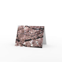 Blossom Notecards
