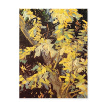 Blossoming Acacia Branches, Vincent van Gogh Postcard