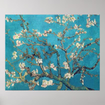 Blossoming Almond Tree