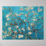 Blossoming Almond Tree Van Gogh Posters