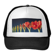 Blossoming Amaryllis Flower Mesh Hat