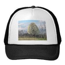 Blossoming Bradford Pear Tree Mesh Hat
