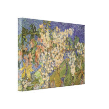 Blossoming Chestnut Branches by Vincent van Gogh Canvas Prints