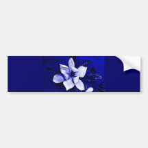 Blossoming Magnolia Bumper Sticker