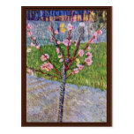 Blossoming Peach Tree By Vincent Van Gogh Post Cards