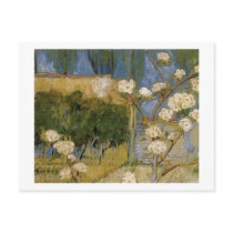 Blossoming Pear Tree, Vincent van Gogh Post Cards
