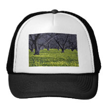 Blossoming plants hat