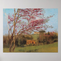 Blossoming red alnd Tree Poster