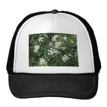 Blossoming riverside plant trucker hats
