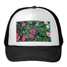 Blossoming Rose with differen shades of pink Hat