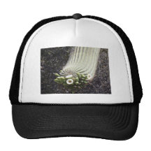 Blossoming Saguaro Trucker Hats