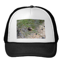 Blossoming spikey plant hat