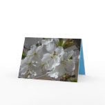 Blossoms for Mom Greeting Cards