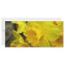 Blossoms Left Rack Card Design