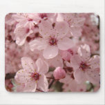 Blossoms mousepad Pink Spring Tree blossoms