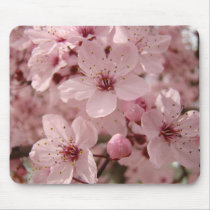 Blossoms mousepad Pink Spring Tree blossoms