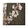 Blossoms on a Tree Magnets
