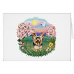 Blossoms - Yorkshire Terrier (#17) Card