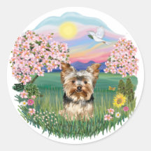 Blossoms - Yorkshire Terrier (#17) Round Stickers
