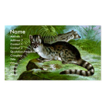 Blotched Genet Business Card