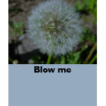 Blow me dandy t-shirts
