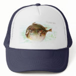 Blowfish hats