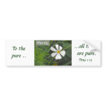 Blowin` in the Wind - Purity bumper stickers