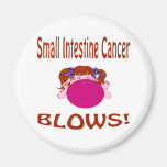 Blows Small Intestine Cancer Magnet