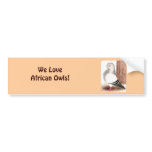 Blue African Owl Pigeon Bumper Stickers