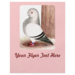Blue African Owl Pigeon Personalized Flyer