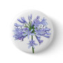 Blue Agapanthus Button