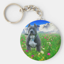 Blue American Pit Bull Terrier, Pikes Peak Keychain