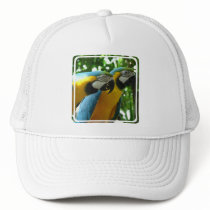 Blue and Gold Macaw Baseball Hat