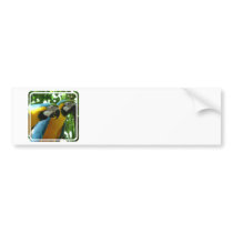 Blue and Gold Macaw Bumper Sticker