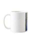 Blue and Gold macaw mug
