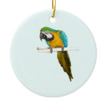 Blue and gold macaw christmas tree ornament