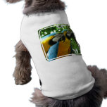 Blue and Gold Macaw Pet Shirt