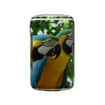 Blue and Gold Macaws Blackberry Bold Case
