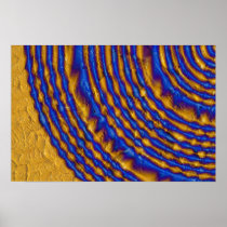 Blue and Gold Paint Spiral Posters