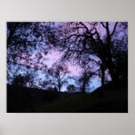 blue and purple sunset obscured by trees posters
