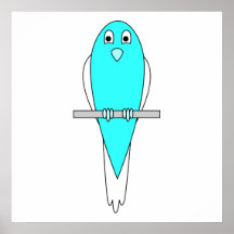 Blue and White Bird. Budgie. Posters