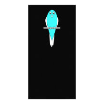 Blue and White Bird. Parakeet. Black. Custom Photo Card