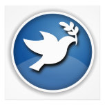 Blue and White Dove of Peace Photographic Print