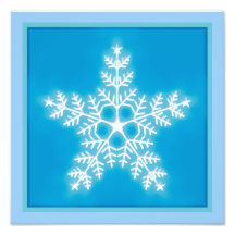 Blue and White Star Snowflake Photograph