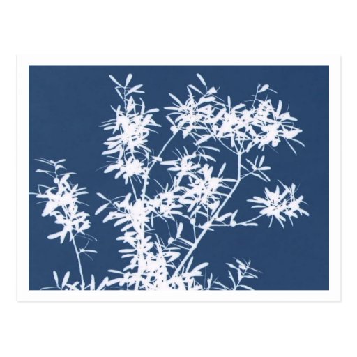 Blue and white stark leaves graphic cutout postcard