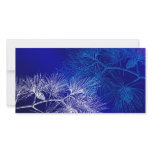 Blue and White Winter Pine photo cards