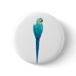 Blue and Yellow Macaw from Junglewalk.com Pin