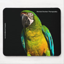 Blue-and Yellow Macaw Mousepad