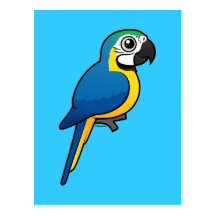 Blue-and-yellow Macaw Post Cards