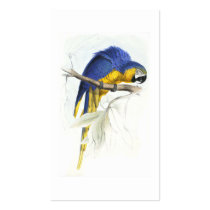 Blue and Yellow Maccaw by Edward Lear Business Card Template